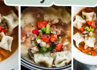 Crock Pot Wonton Soup: A Comforting and Easy Meal